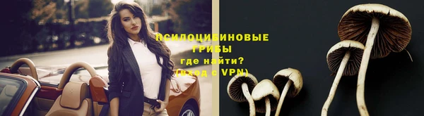 прущие крисы Вязники
