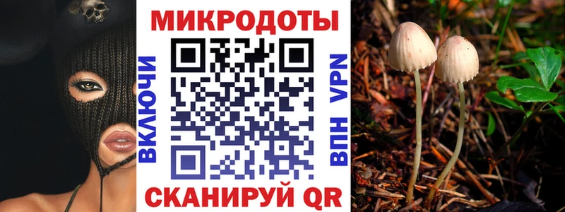кракен ССЫЛКА  Окуловка  Галлюциногенные грибы Psilocybe 